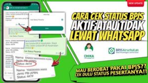 Cek Status BPJS Kesehatan Aktif atau Tidak Lewat HP di Web dan Aplikasi